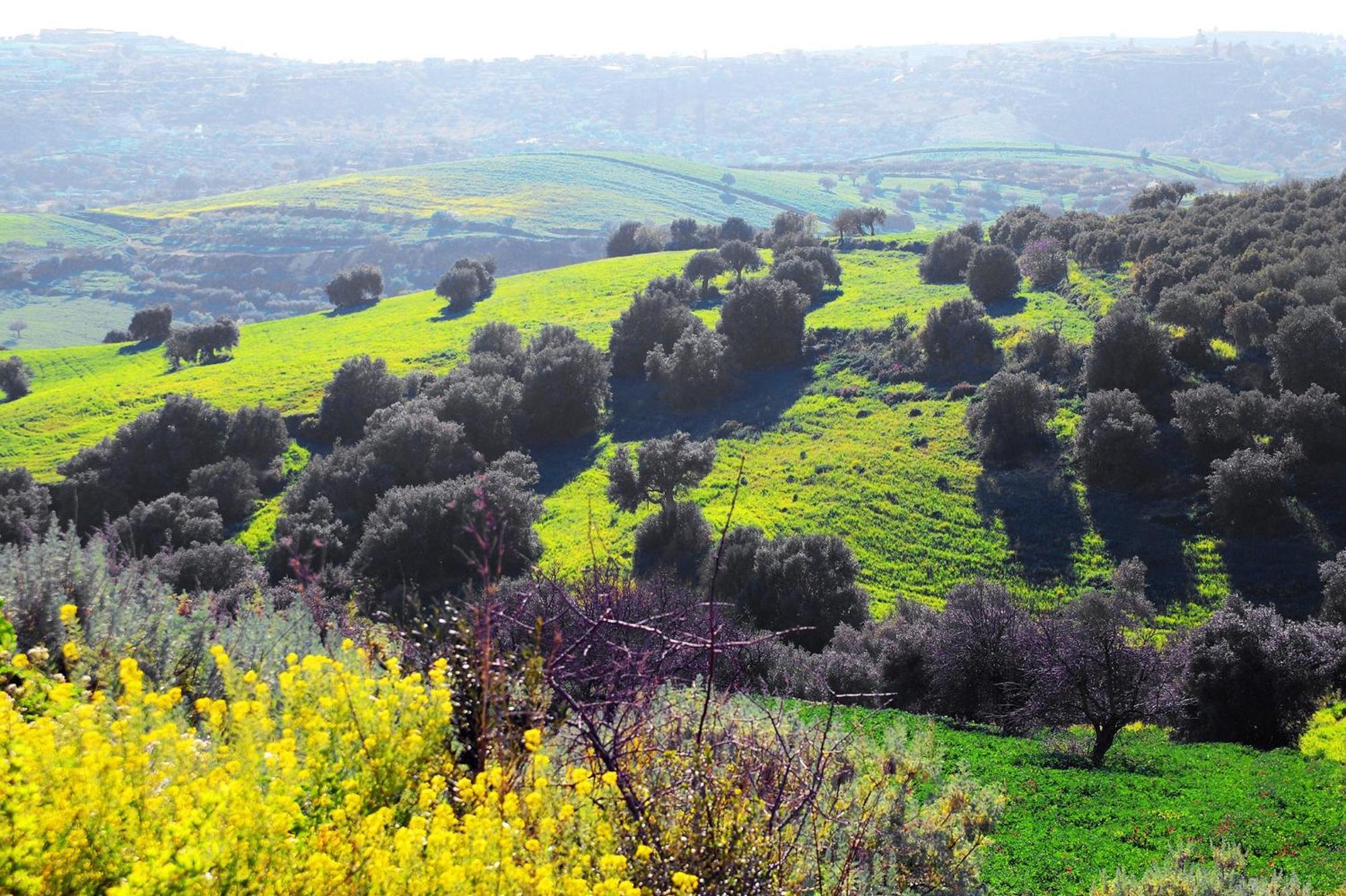 Agriturismo Giannavi ปาลัซโซ อาเกรอิเด ภายนอก รูปภาพ